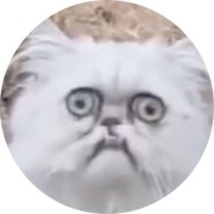 Meet your Posher, Marcus